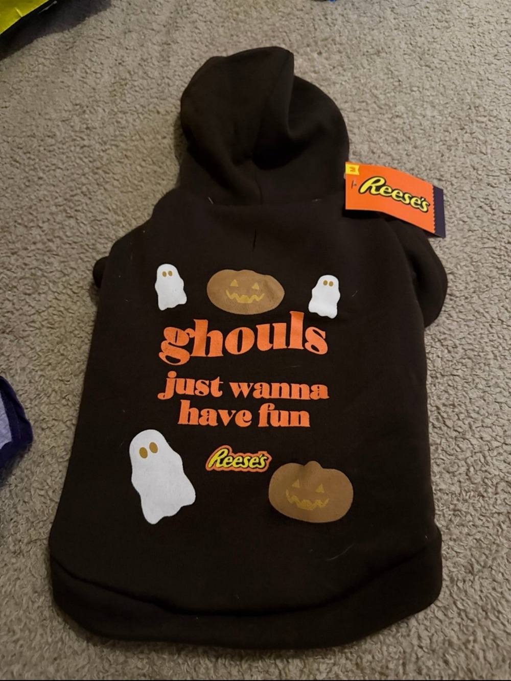 Brown Halloween Pet Hoodie with Orange 'Ghouls Just Wanna Have Fun' Print